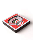 Ohio State Buckeyes 3D Stadium View Magnet