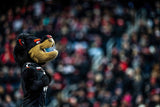 Breaking Down Barriers: How the Cincinnati Bearcats Crashed the College Football Playoff Party