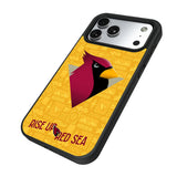 Arizona Cardinals 2024 Edition Bump Phone Case for Apple iPhone 17 Series