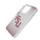Florida State University Seminoles Athletic Wordmark Linen Clear Phone Case for Apple iPhone