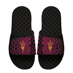 Arizona State Sun Devils Year of the Snake