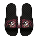 Florida State Seminoles Year of the Snake