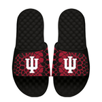 Indiana Hoosiers Year of the Snake