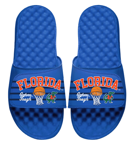 Florida Gators Basketball Collage