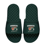 Michigan State Spartans Basketball Collage
