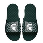 Michigan State Spartans Year of the Snake