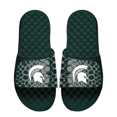 Michigan State Spartans Year of the Snake