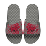 Arkansas Razorbacks Year of the Snake