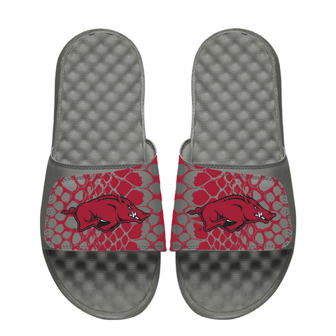 Arkansas Razorbacks Year of the Snake