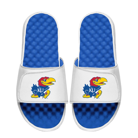 Kansas Jayhawks Primary