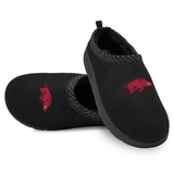 Arkansas Razorbacks Primary Logo Mission