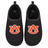 Auburn Tigers Primary Logo Mission