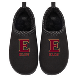 Elon Phoenix Primary Logo Mission
