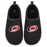 Carolina Hurricanes Primary Logo Mission