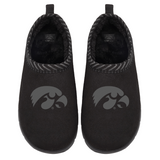 Iowa Hawkeyes Tonal Logo Mission