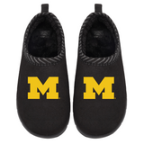 Michigan Wolverines Primary Logo Mission
