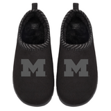 Michigan Wolverines Tonal Logo Mission