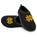 Notre Dame Fighting Irish Primary Logo Mission