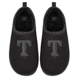 Texas Rangers Tonal Logo Mission
