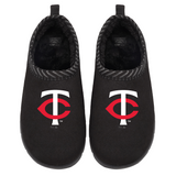 Minnesota Twins Primary Logo Mission