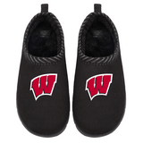 Wisconsin Badgers Primary Logo Mission