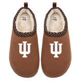 Indiana Hoosiers Primary Logo Mission