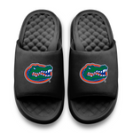 Florida Gators Primary Motive