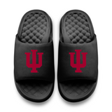 Indiana University Primary Logo