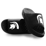 Michigan State Spartans Primary Motive