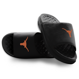 Texas Longhorns Primary Motive