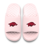 Arkansas Razorbacks Primary Motive