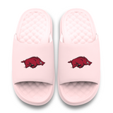 Arkansas Razorbacks Primary Motive