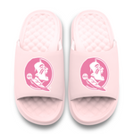 Florida State Seminoles Primary Motive