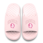 Florida State Seminoles Tonal Pop Motive