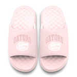 Florida Gators Tonal Pop Motive