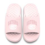 Florida Gators Tonal Pop Motive
