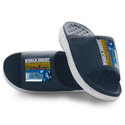 Los Angeles Dodgers World Series Champions Collage