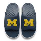 Michigan Wolverines Pixeled Distressed Motive