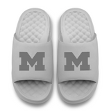 Michigan Wolverines Tonal Logo