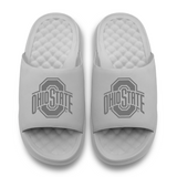 Ohio State Buckeyes Tonal Logo