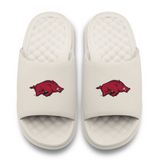 Arkansas Razorbacks Primary Motive