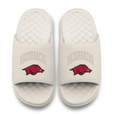 Arkansas Razorbacks Tonal Pop Motive