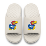 Kansas Jayhawks Primary Motive