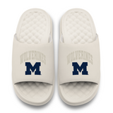 Michigan Wolverines Tonal Pop Motive
