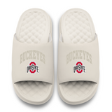 Ohio State Buckeyes Tonal Pop Motive