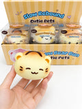 Meow Bear Bun Cutie Pets Slow Rising Squishy