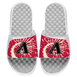 Arizona Diamondbacks