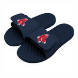 Boston Red Sox Primary Slides