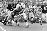 Butkus: The Legendary Career of Dick Butkus
