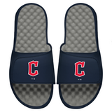 Guardians Primary Logo Slides